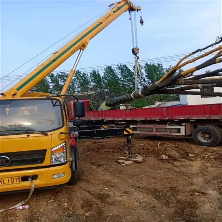 长倘口镇100吨吊车租赁费用怎么算？3大关键因素+省钱技巧全解析